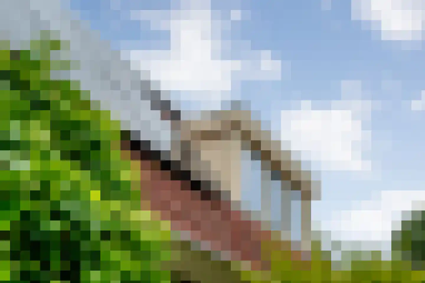 Schipper 3 Diever thumbnail 55
