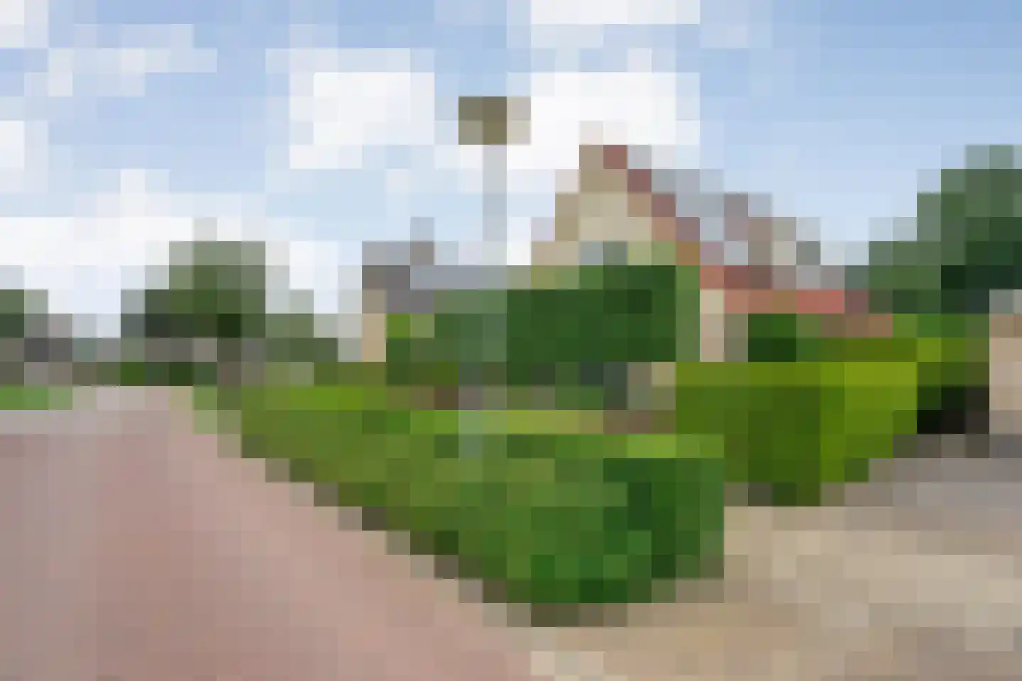 Schipper 3 Diever thumbnail 56