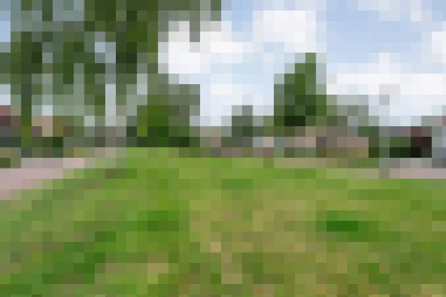 Schipper 3 Diever thumbnail 58