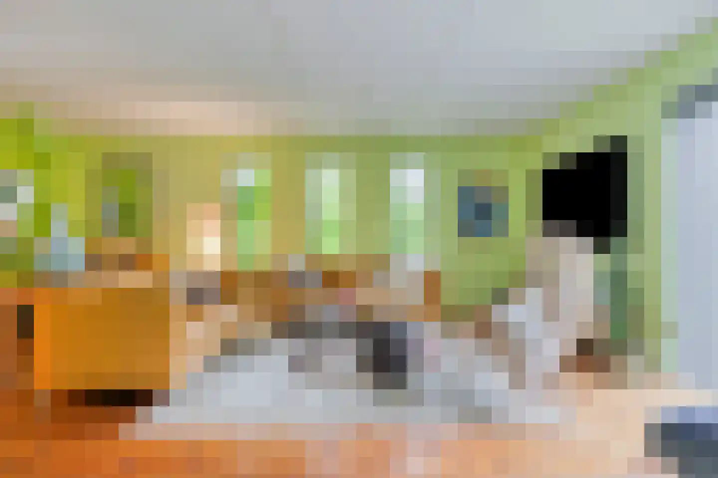 Schipper 3 Diever thumbnail 6