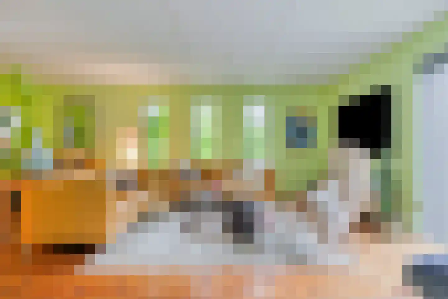 Schipper 3 Diever thumbnail 6