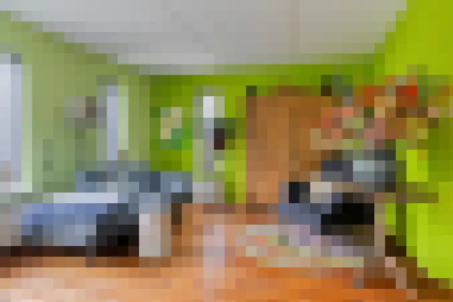 Schipper 3 Diever thumbnail 8