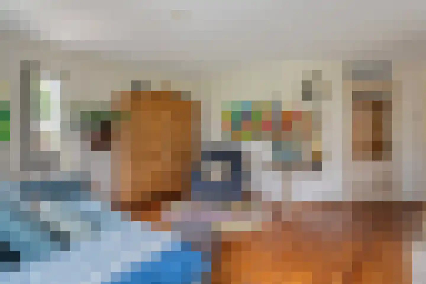 Schipper 3 Diever thumbnail 9