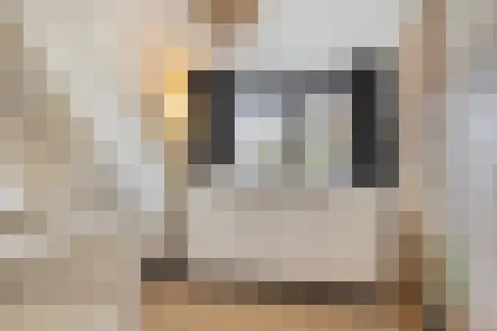 Schipperhorst 21 Enschede thumbnail 28