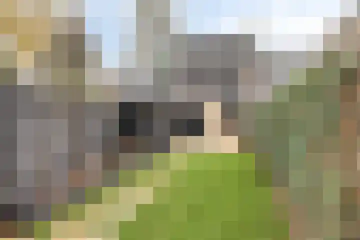 Schipperhorst 21 Enschede thumbnail 4