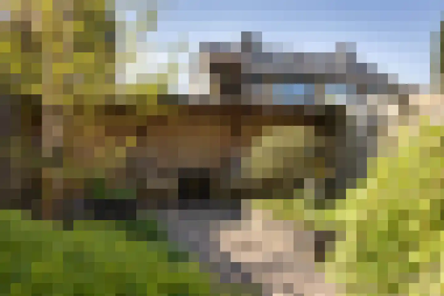 Schipperhorst 3 Enschede thumbnail 22