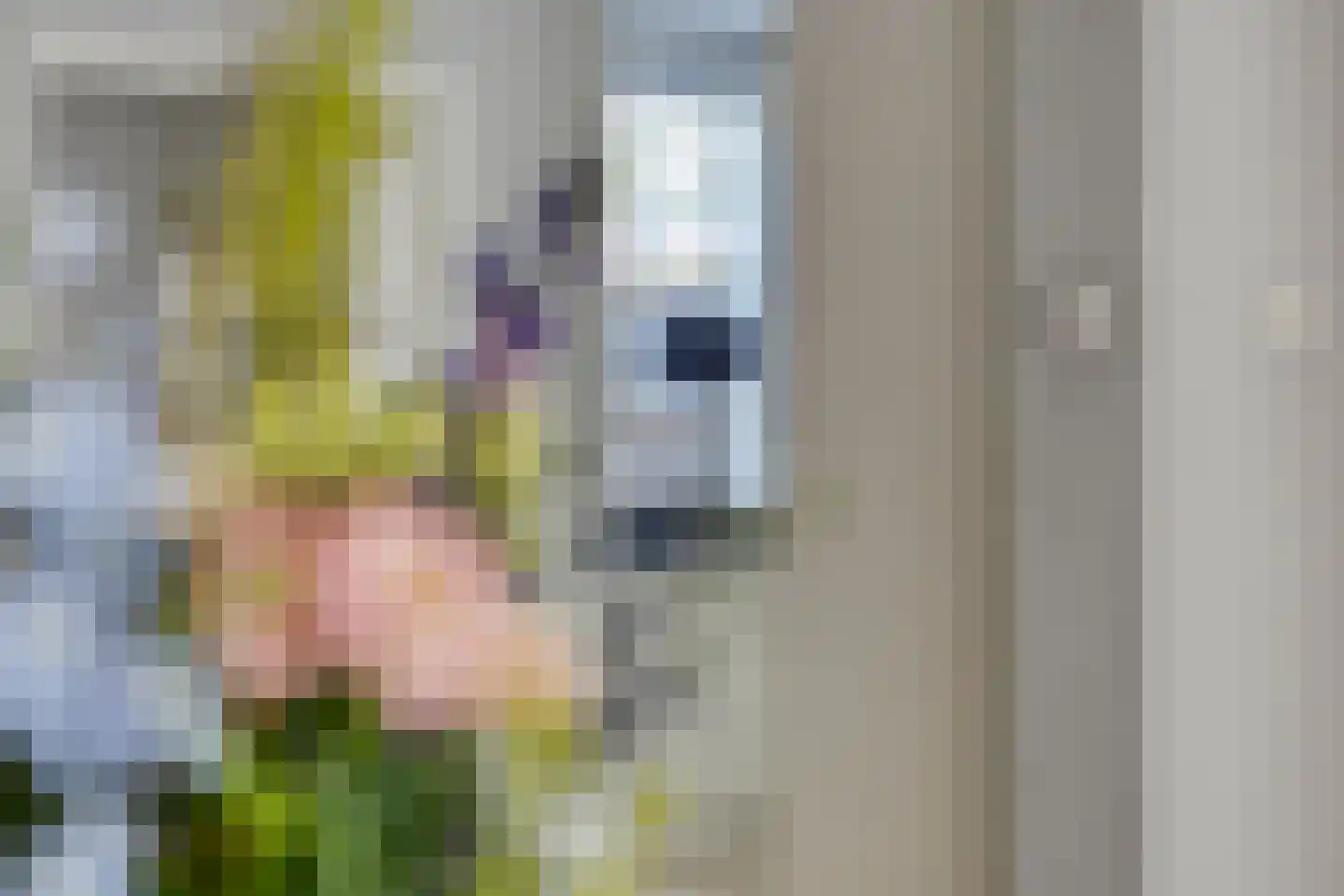 Schipperhorst 33 Enschede thumbnail 18