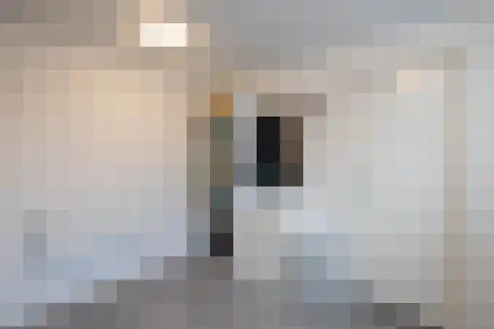 Schipperhorst 9 Enschede thumbnail 15
