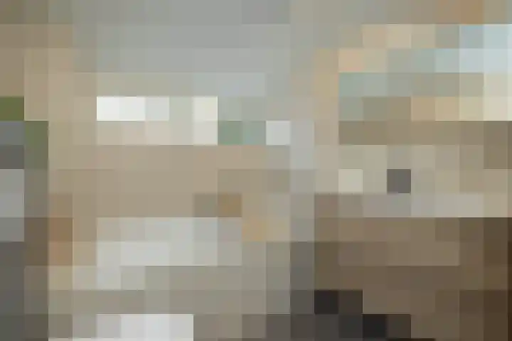 Schipperhorst 9 Enschede thumbnail 19