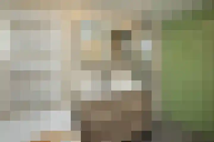 Schipperhorst 9 Enschede thumbnail 21