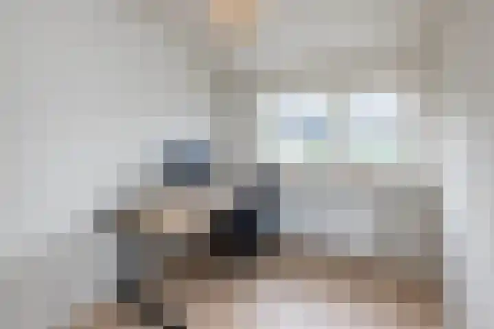 Schipperhorst 9 Enschede thumbnail 23