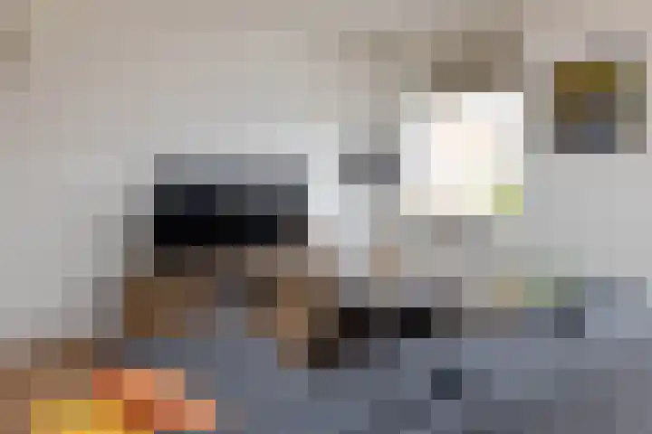 Schipperhorst 9 Enschede thumbnail 6