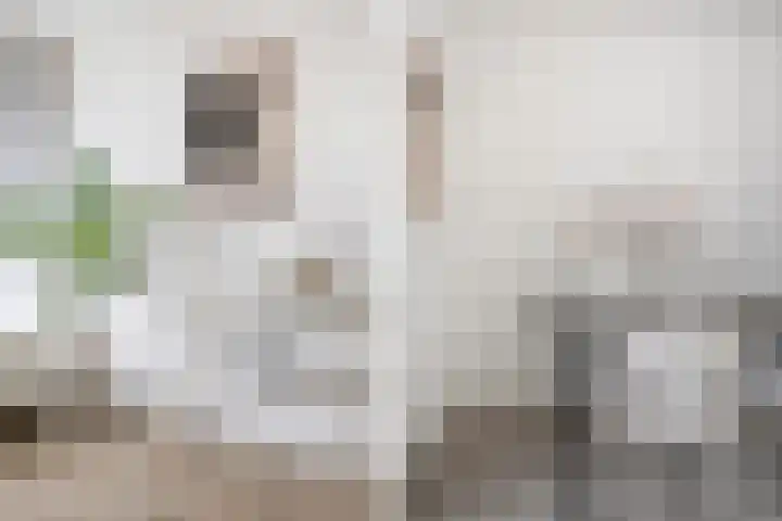 Schippersdonk 30 Breda thumbnail 10
