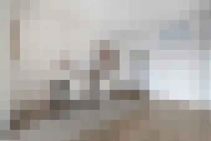 Schippersdonk 30 Breda thumbnail 11