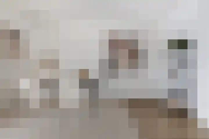 Schippersdonk 30 Breda thumbnail 12