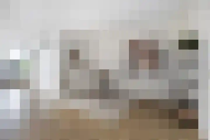 Schippersdonk 30 Breda thumbnail 13