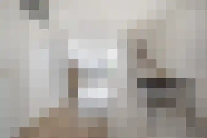 Schippersdonk 30 Breda thumbnail 14