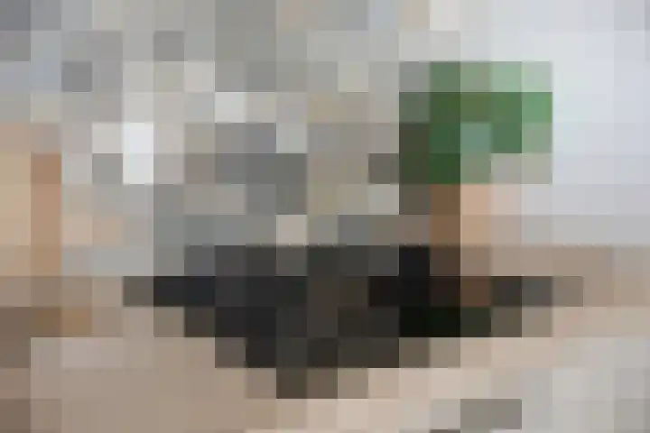 Schippersdonk 30 Breda thumbnail 17
