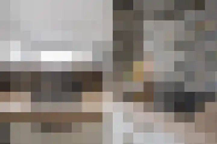 Schippersdonk 30 Breda thumbnail 18