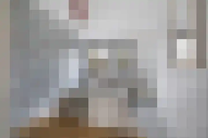 Schippersdonk 30 Breda thumbnail 21