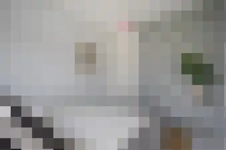 Schippersdonk 30 Breda thumbnail 22