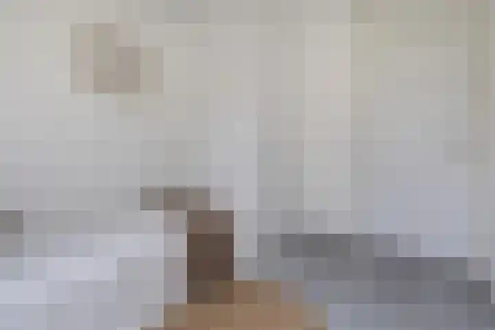Schippersdonk 30 Breda thumbnail 25