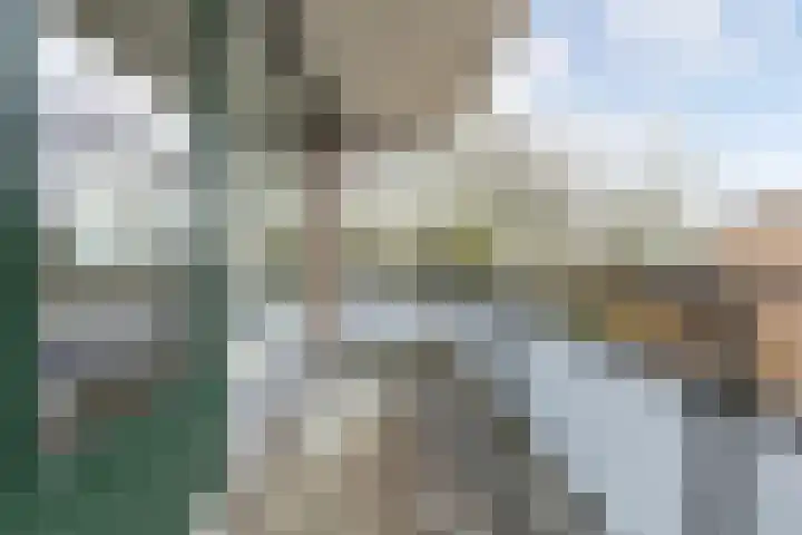 Schippersdonk 30 Breda thumbnail 28