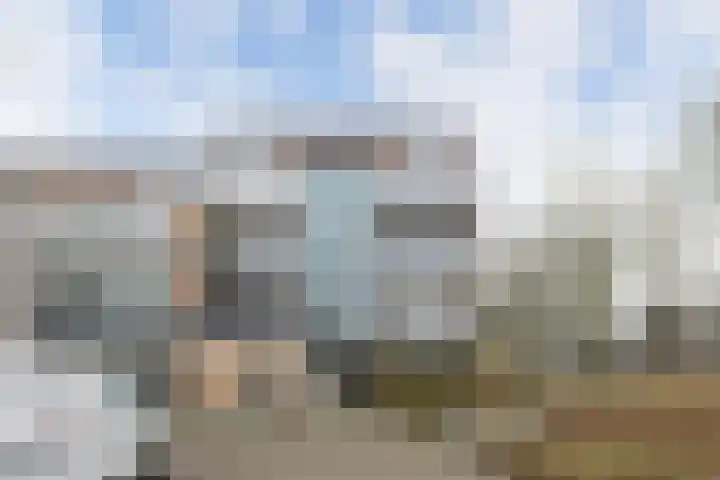 Schippersdonk 30 Breda thumbnail 4