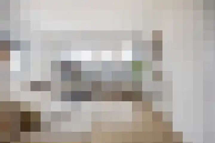 Schippersdonk 30 Breda thumbnail 7