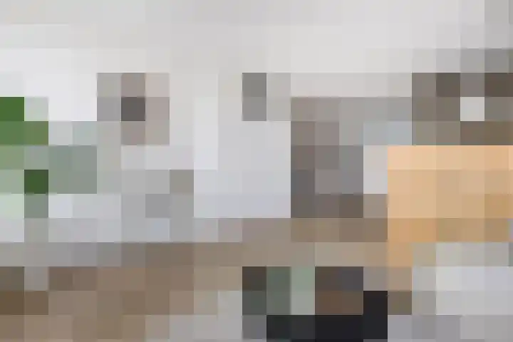 Schippersdonk 30 Breda thumbnail 8