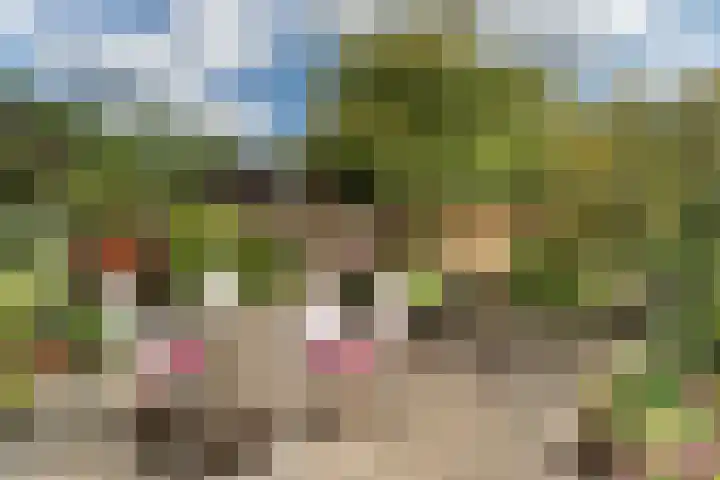 Schippersdreef 13 Driebergen-Rijsenburg thumbnail 31