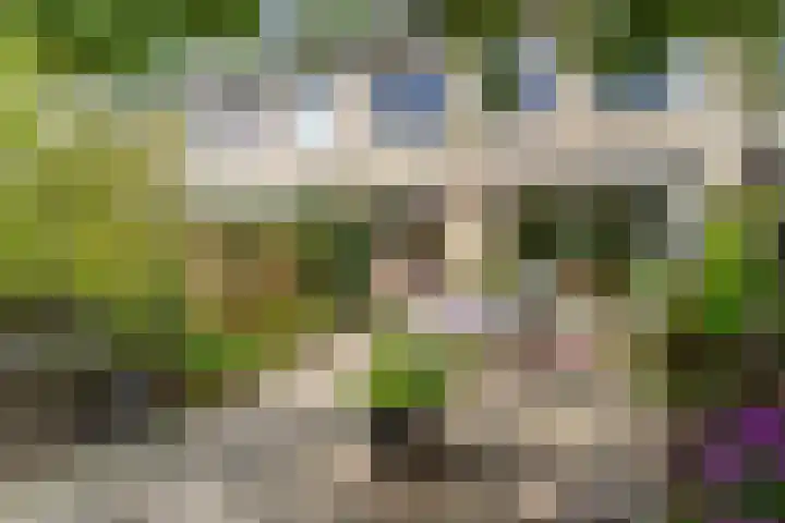 Schippersdreef 13 Driebergen-Rijsenburg thumbnail 35