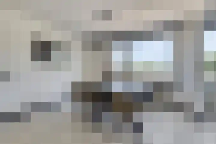 Schippersdreef 20 D Maastricht thumbnail 11