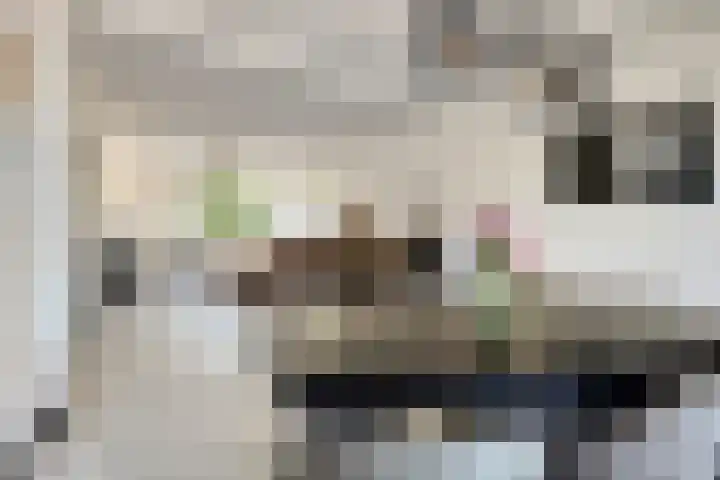Schippersdreef 20 D Maastricht thumbnail 12