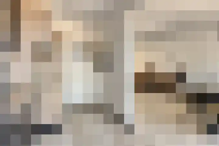 Schippersdreef 20 D Maastricht thumbnail 15
