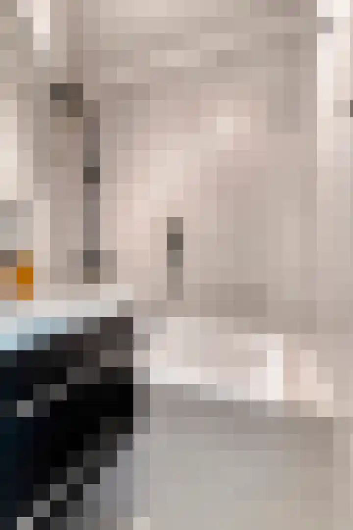 Schippersdreef 20 D Maastricht thumbnail 21