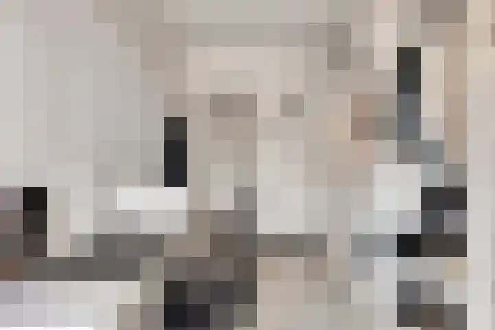 Schippersdreef 20 D Maastricht thumbnail 24