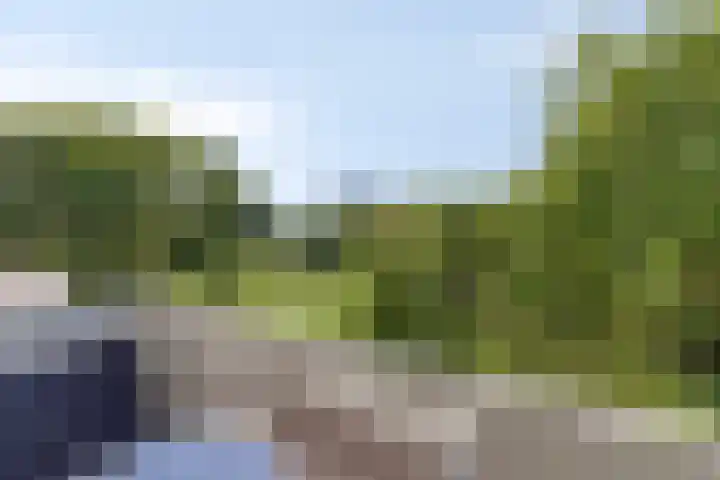 Schippersdreef 20 D Maastricht thumbnail 25