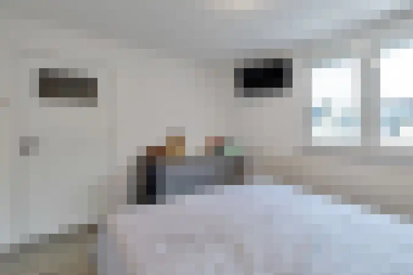 Schippersdreef 21 Maastricht thumbnail 17