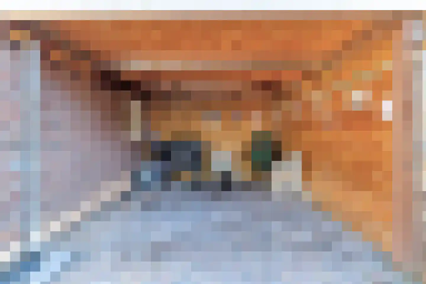 Schippersdreef 21 Maastricht thumbnail 27