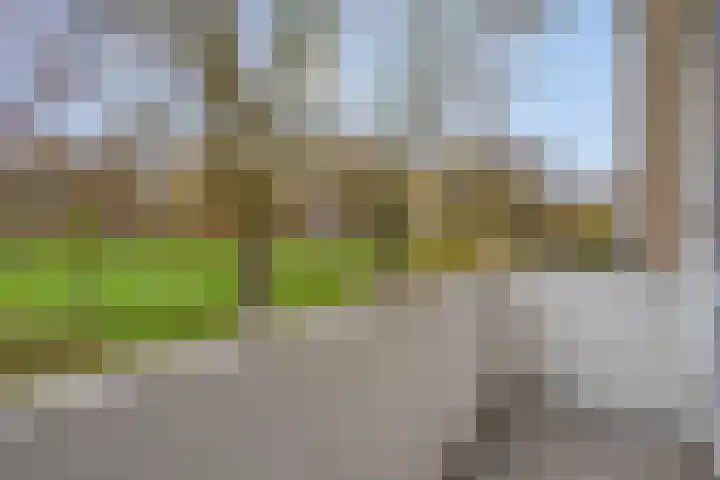Schippersdreef 30 A Maastricht thumbnail 21