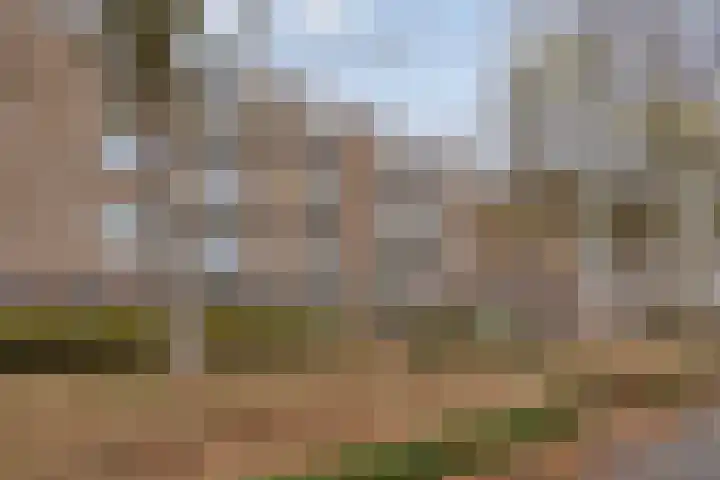 Schippersdreef 30 A Maastricht thumbnail 31