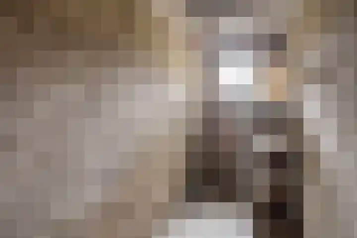 Schippersdreef 30 A Maastricht thumbnail 5