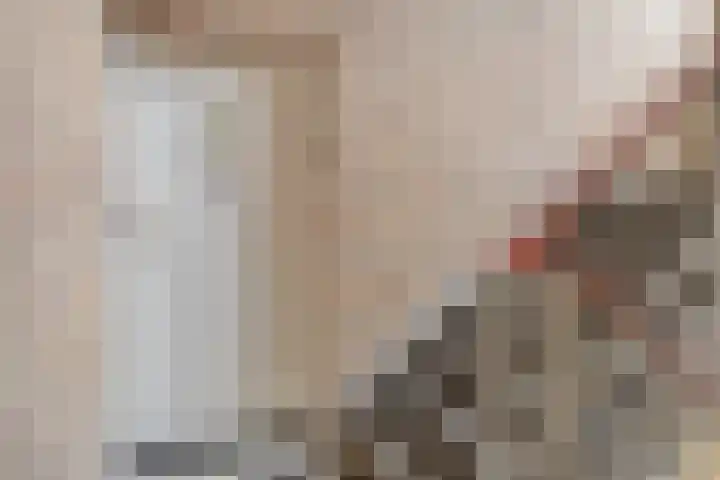 Schippersdreef 30 A Maastricht thumbnail 6