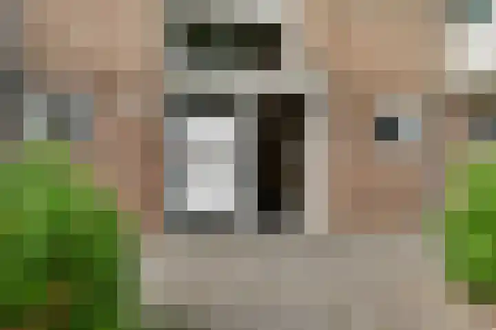 Schippersdreef 34 A Maastricht thumbnail 6
