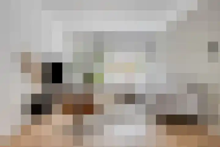 Schippersdreef 39 Maastricht thumbnail 10