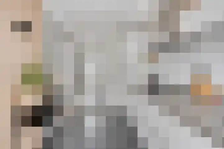 Schippersdreef 39 Maastricht thumbnail 15