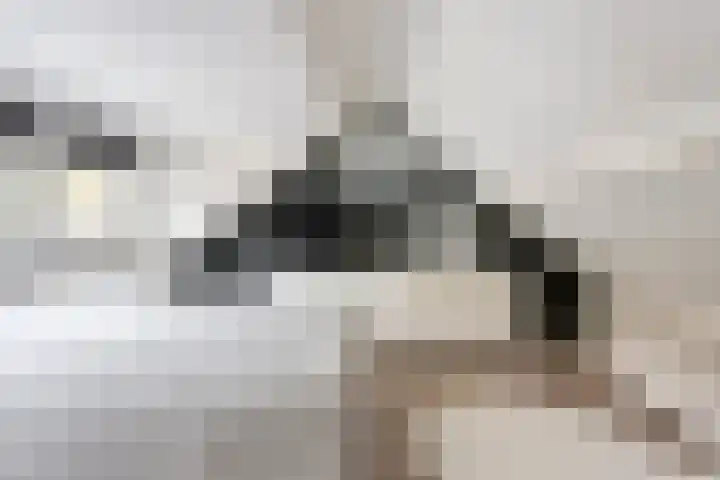 Schippersdreef 39 Maastricht thumbnail 24