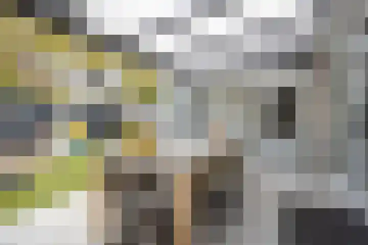 Schippersdreef 39 Maastricht thumbnail 28