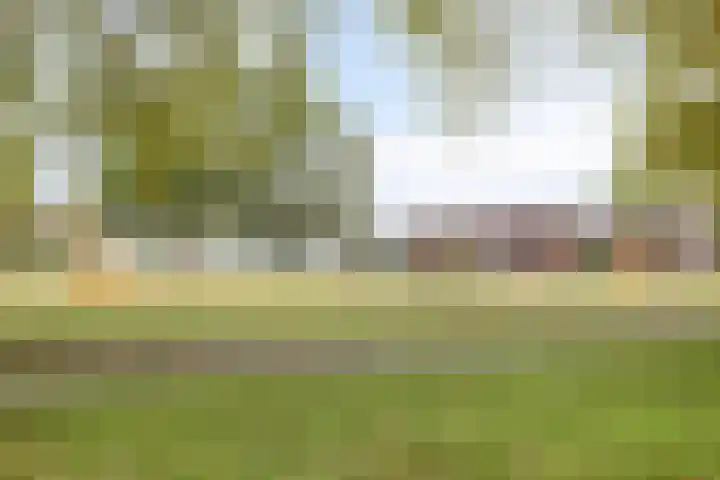 Schippersdreef 39 Maastricht thumbnail 31